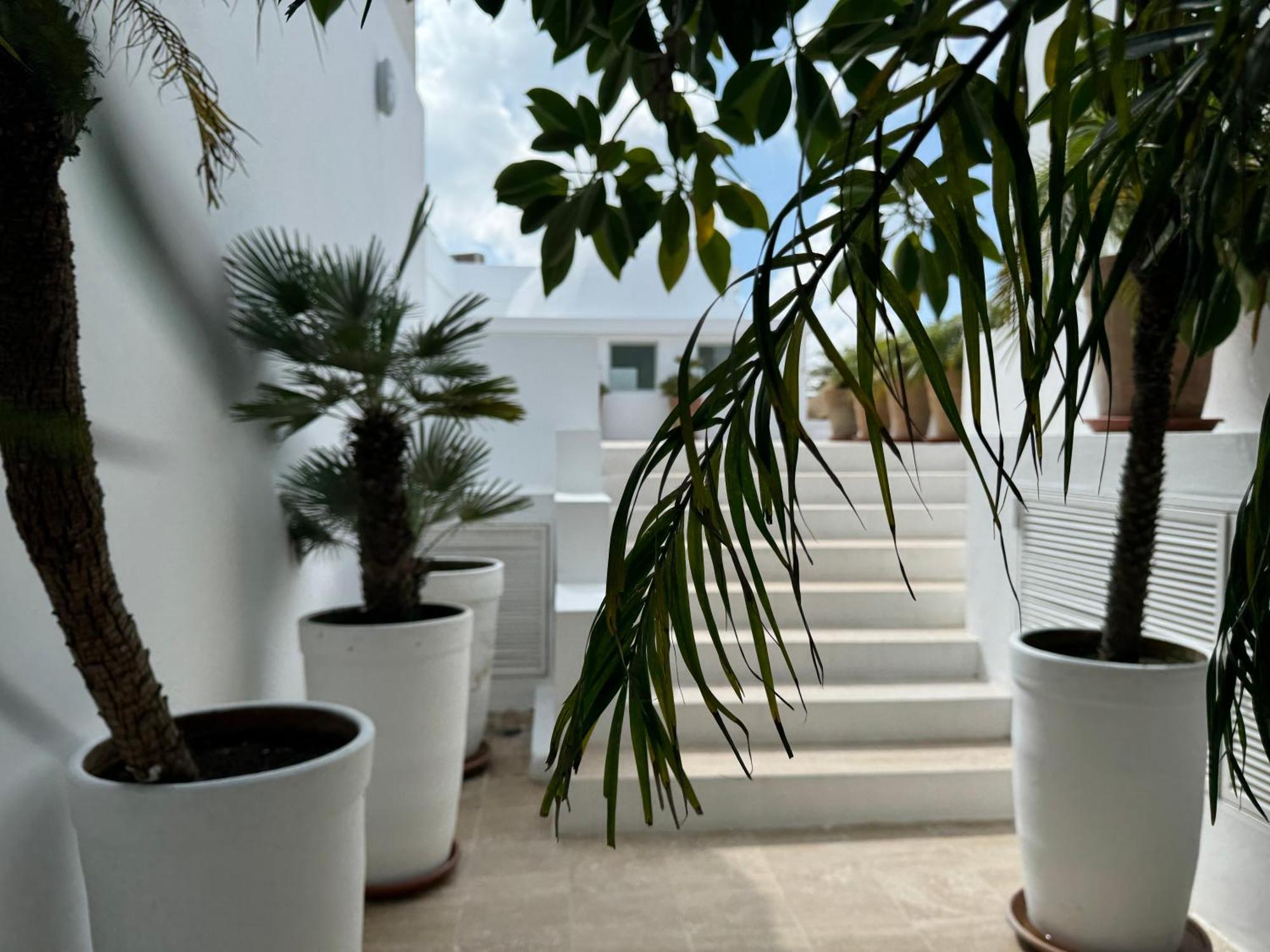 Villa Hafa Tanger Exterior foto
